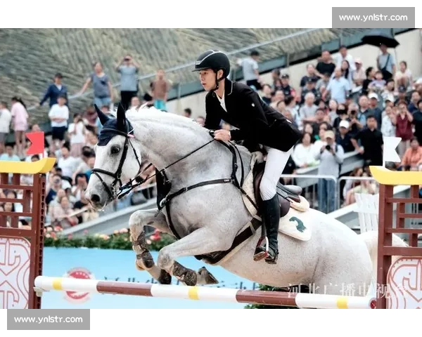 中国马术冠军杯赛邯郸站燃情启幕 顶级赛事点亮古城 中国马术冠军杯赛邯郸站燃情启幕 顶级赛事点亮古城